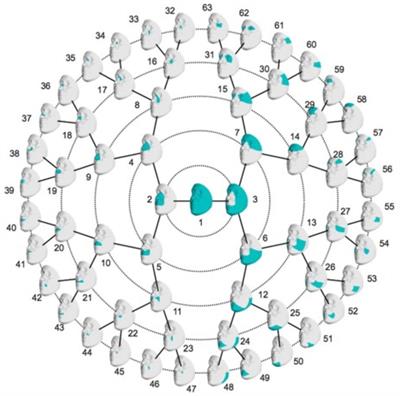 SNPs Associated With Testosterone Levels Influence Human Facial Morphology